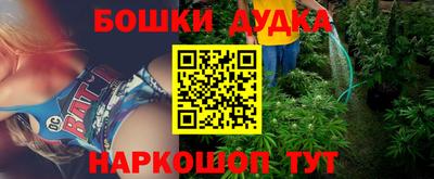 молекула духа Шелехов
