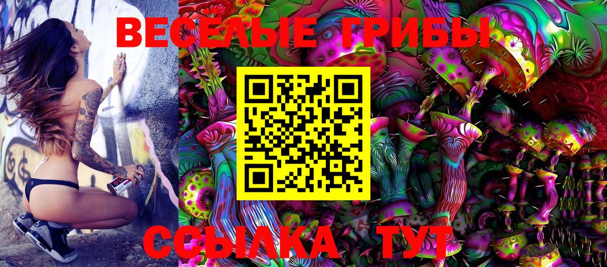 Галлюциногенные грибы GOLDEN TEACHER Баксан