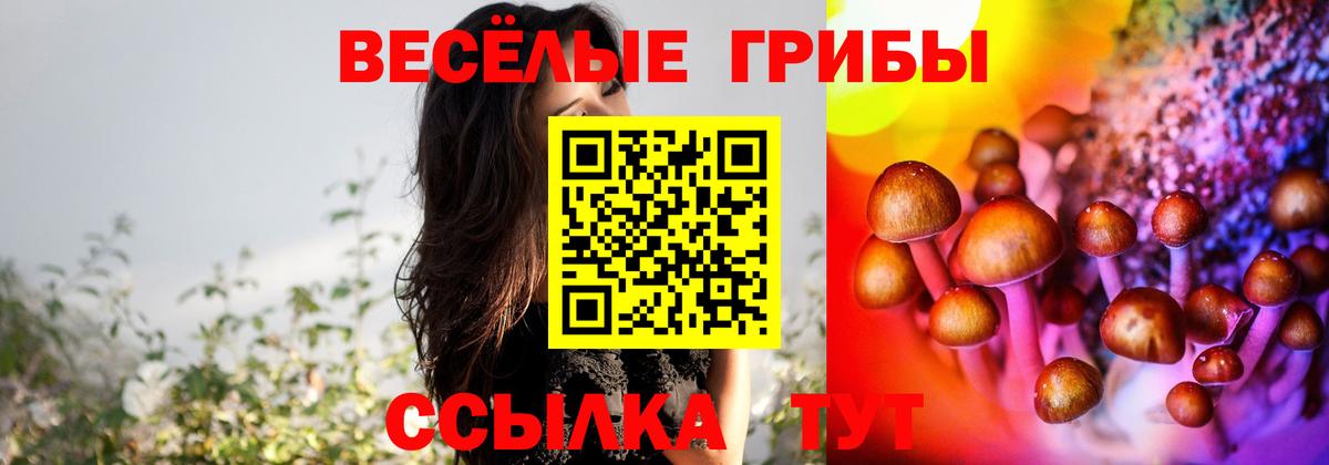 Псилоцибиновые грибы MAGIC MUSHROOMS  Вход с VPN  Баксан  Псилоцибиновые грибы MAGIC MUSHROOMS 